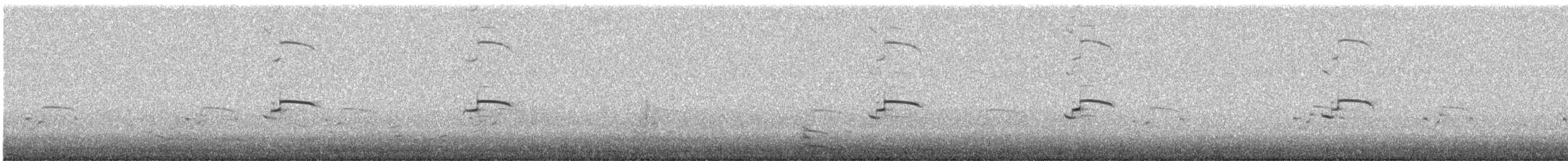 Gaviota Occidental x de Bering (híbrido) - ML490800121