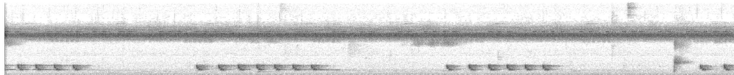 Andamanennachtschwalbe - ML490856541