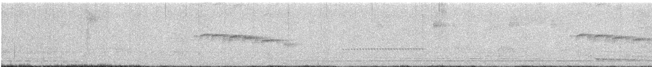 Streifenbrust-Ameisendrossel - ML490856831
