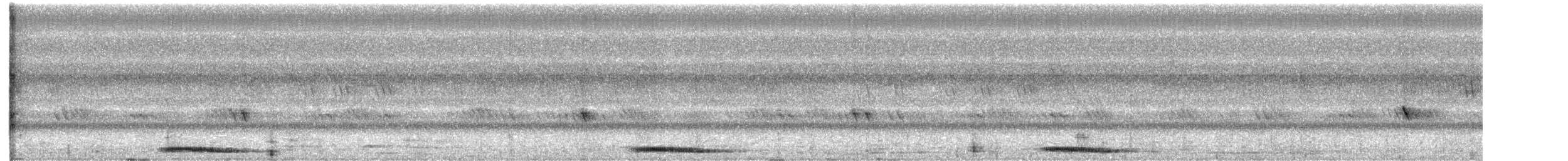 Андаманская иглоногая сова - ML490862191