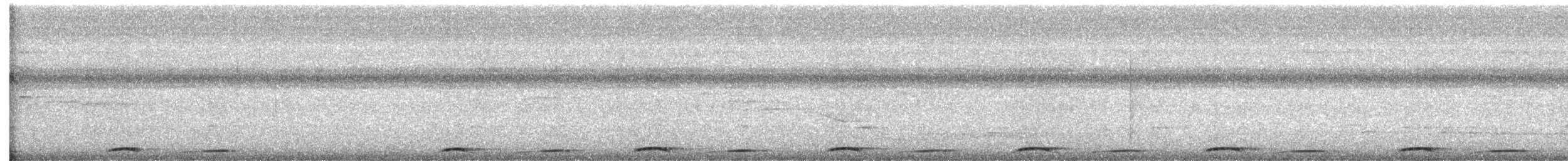 holub rusoocasý - ML490863971