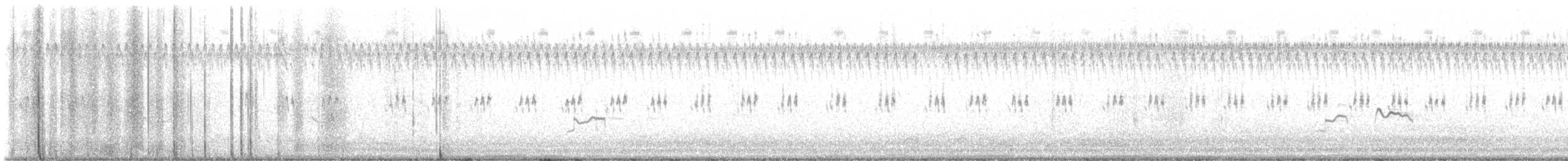 American Golden-Plover - ML490875561