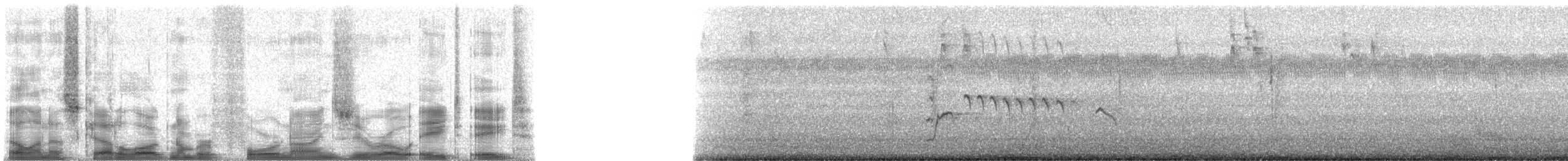 Vaux's Swift (Yucatan) - ML49088