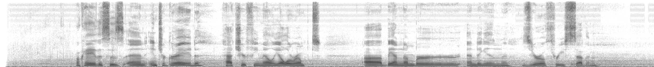 Reinita Coronada (coronata x auduboni) - ML490972451