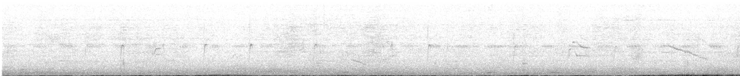 svarthvit fluesnapper - ML490976961