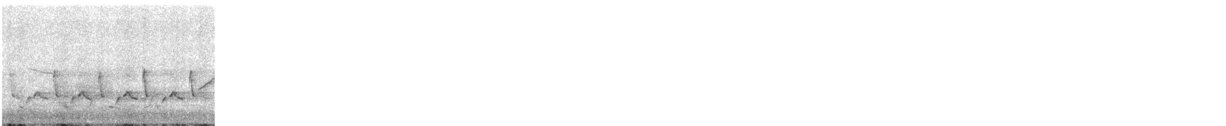 チャバラマユミソサザイ - ML490990161