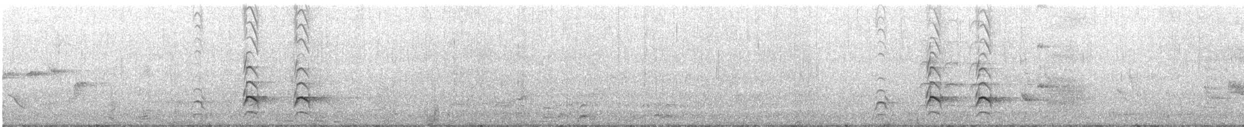 Torresian Kingfisher - ML491047801