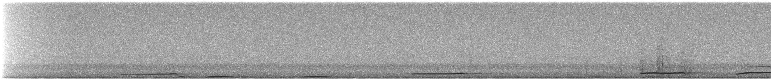 Western Screech-Owl - ML491061411