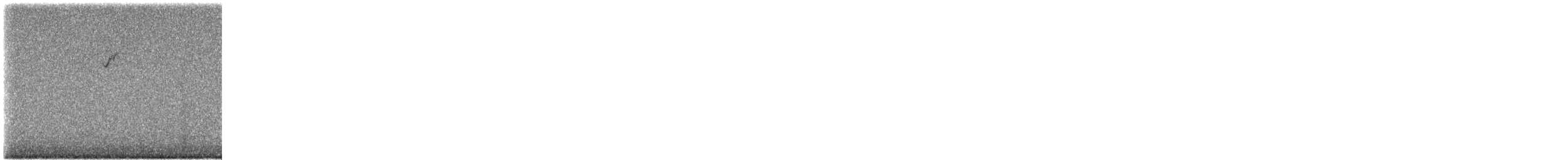 new world sparrow sp. - ML491061621