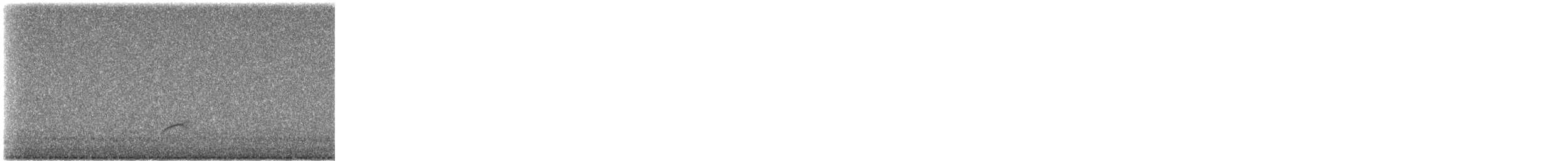 Swainson's Thrush - ML491061751