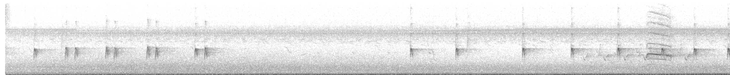 Поплітник каролінський - ML491156161