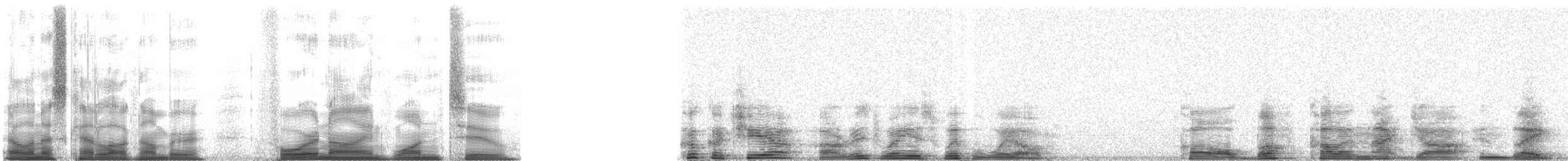 Buff-collared Nightjar - ML4912