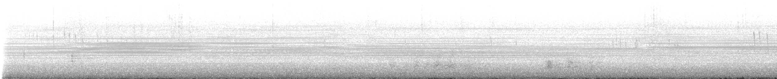 Голкохвіст східний - ML491307211