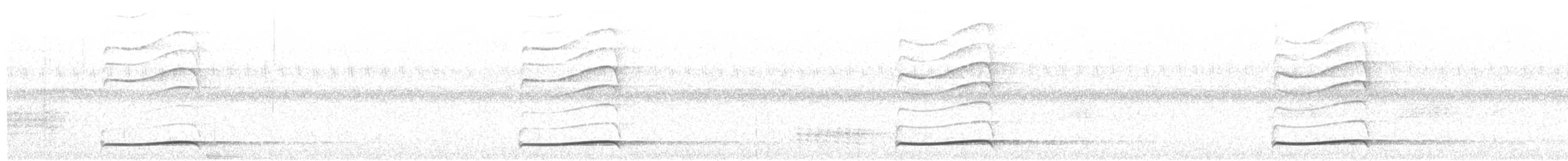 Тихоокеанский коэль - ML491330571