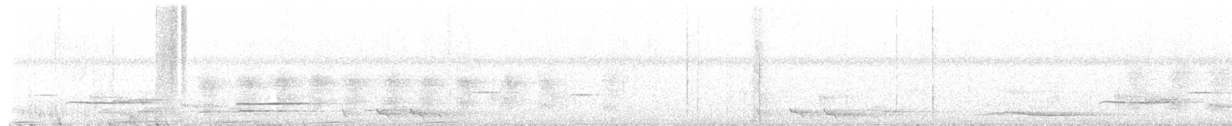 Chestnut-breasted Cuckoo - ML491341571
