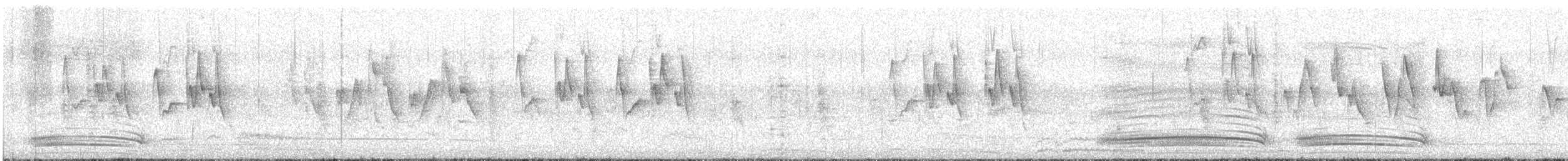 Greenish Warbler - ML491358401