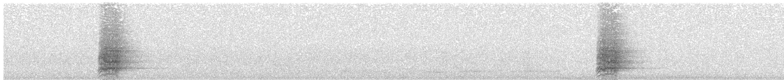 Papuan Eclectus - ML491369811