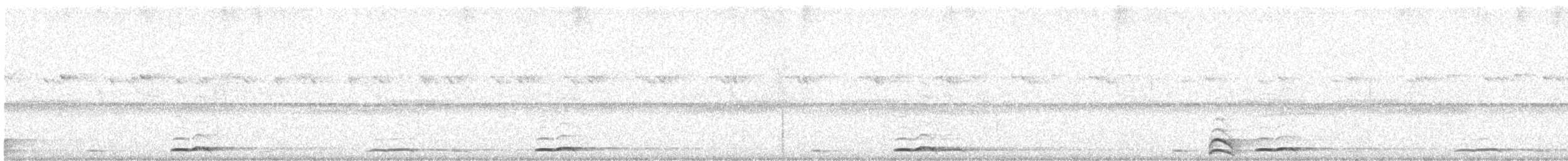 蘭嶼角鴞 - ML491448111