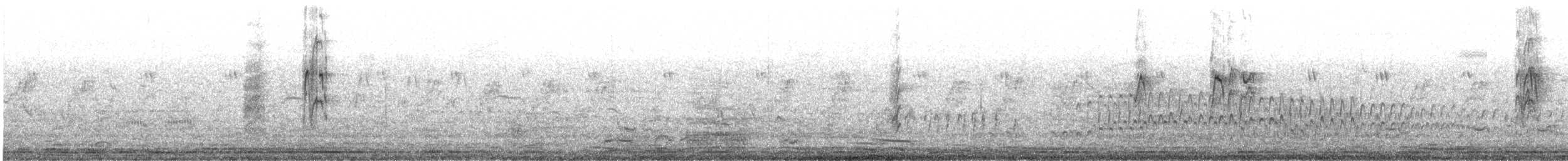 ツバメ - ML491502021