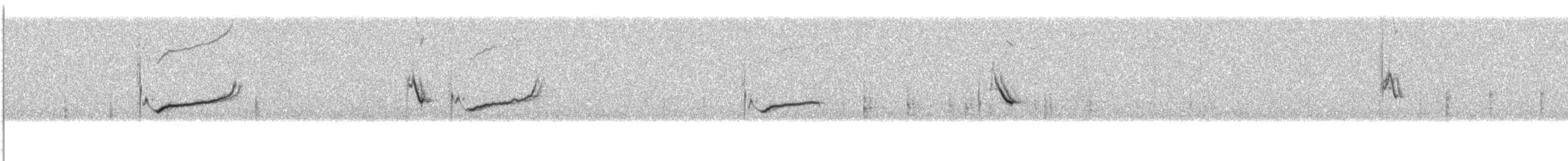 Kap-Langschnabellerche (curvirostris/falcirostris) - ML491517931