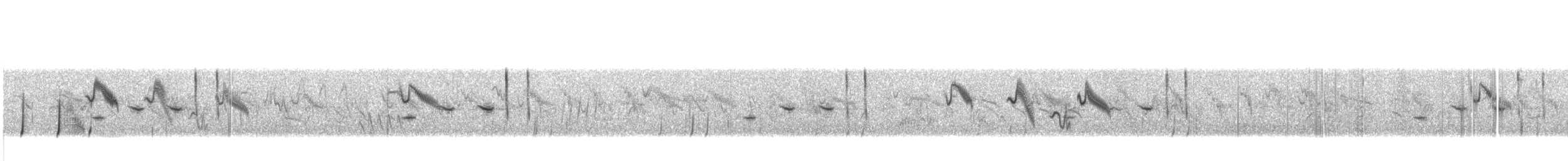 Cisticole pinc-pinc - ML491518621