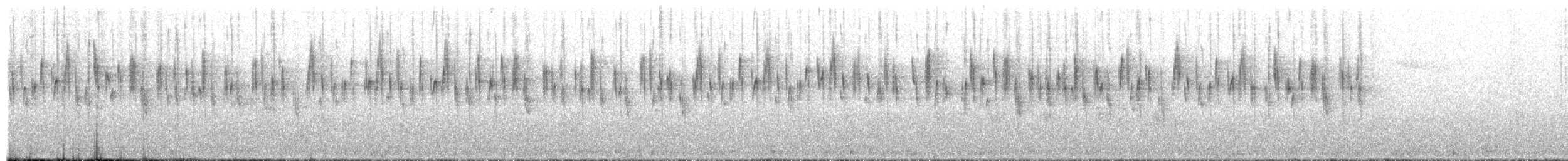 Килиманджарская нектарница - ML491522941