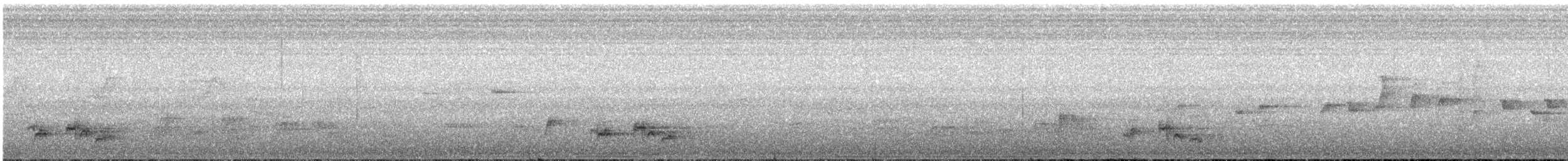 Esmer Arapbülbülü [tricolor grubu] - ML491526571