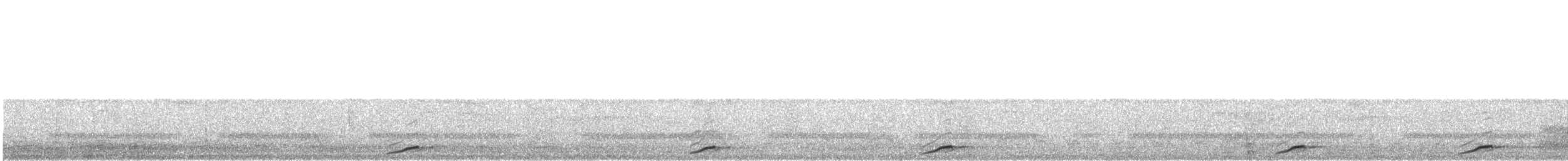 Pauraquenachtschwalbe - ML491572121