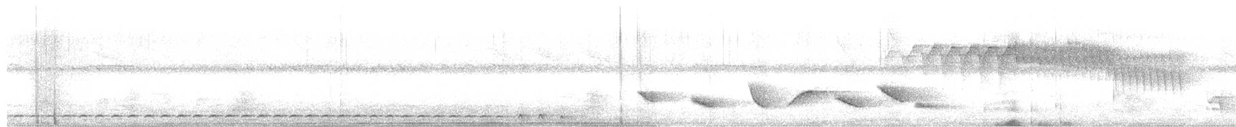 Short-tailed Antthrush - ML491587061