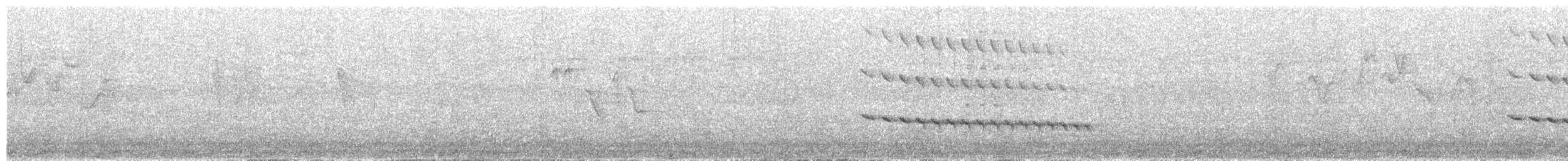 White-throated Kingfisher - ML491591401