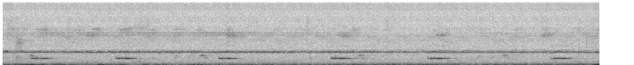 Bändernachtschwalbe - ML491623401