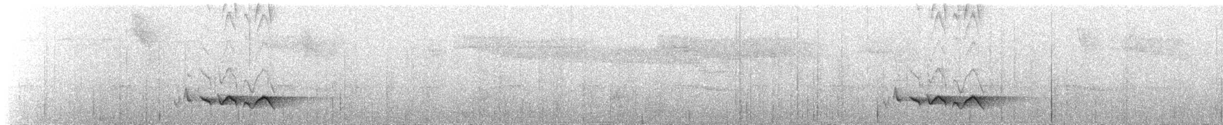 Kara Gagalı Koca Vireo - ML491630611