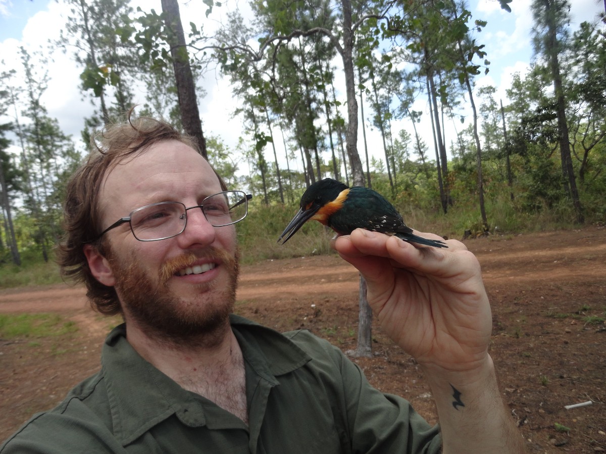 American Pygmy Kingfisher - Matthew Halley