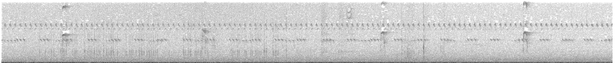 Haarspecht - ML491646561