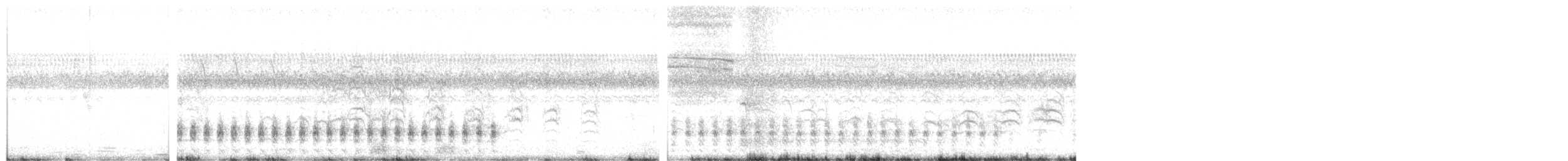 Баранець неотропічний - ML491688141