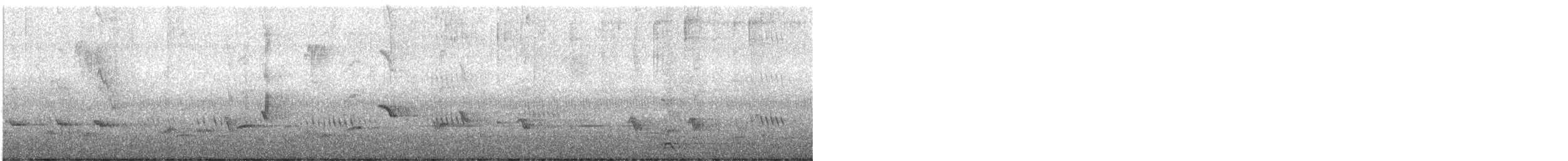 Northern Mockingbird - ML491702251