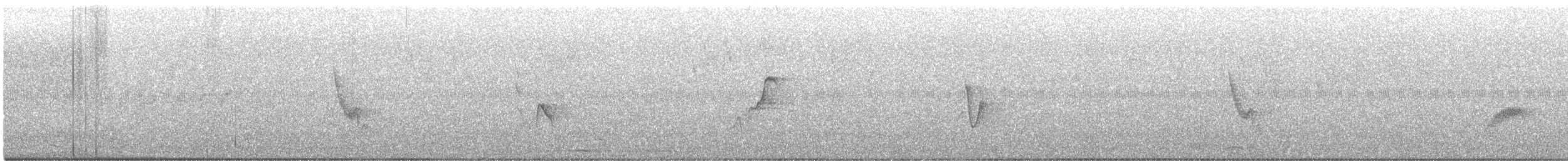 Kurşuni Vireo (notius/montanus) - ML491705961