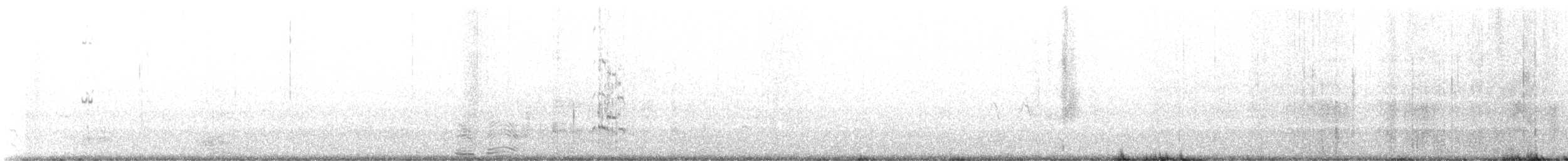 Royal Tern - ML491708991
