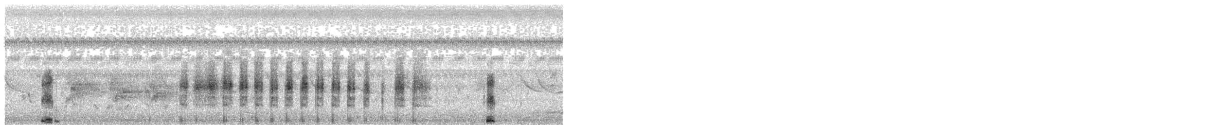 紅腳秧雞 - ML491710391