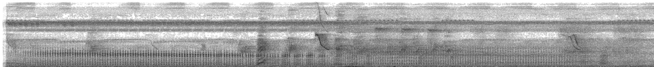rødbeinrikse - ML491710421