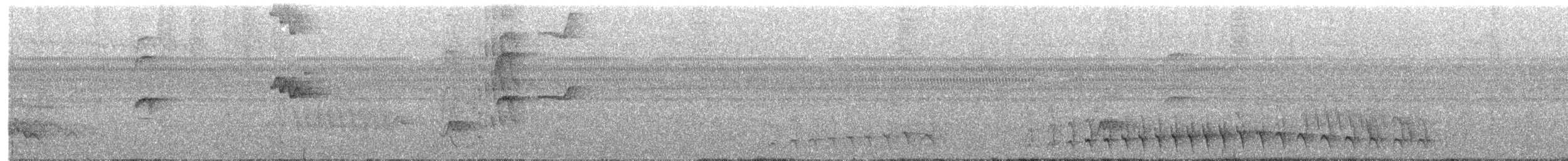 Каатинга великодзьоба - ML491724311