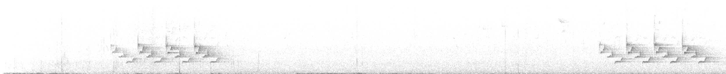 Каролинский крапивник - ML491740291