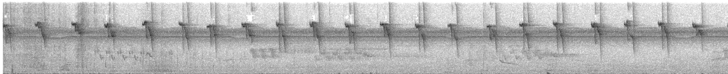 Солнечный колибри-отшельник - ML491740461