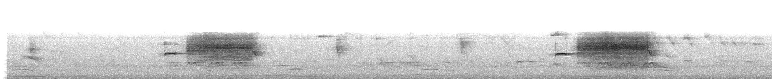 Ochre-rumped Antbird - ML491862471