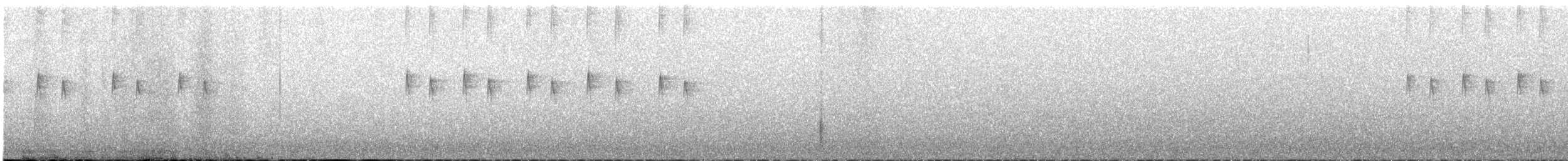 Белоухий колибри - ML491876351