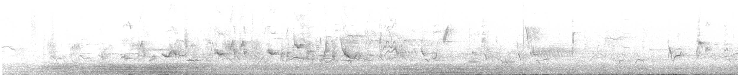 Oriole des vergers - ML491897191
