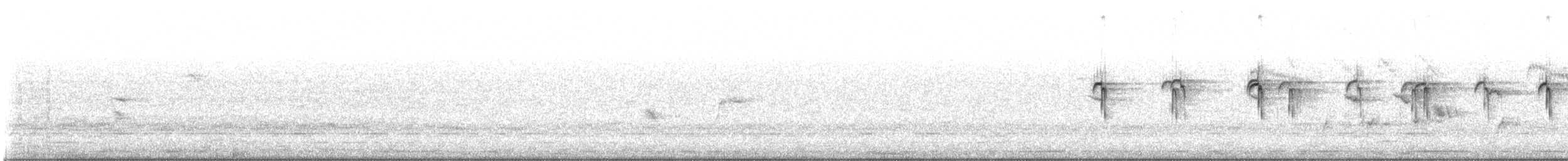 Ошейниковая щурка - ML491938961