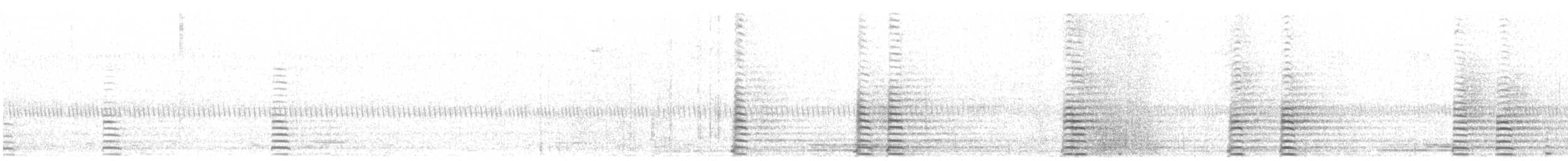 Cisne Trompetero - ML491944581