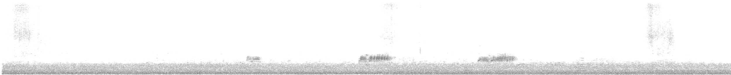 potápka bělolící - ML49204931