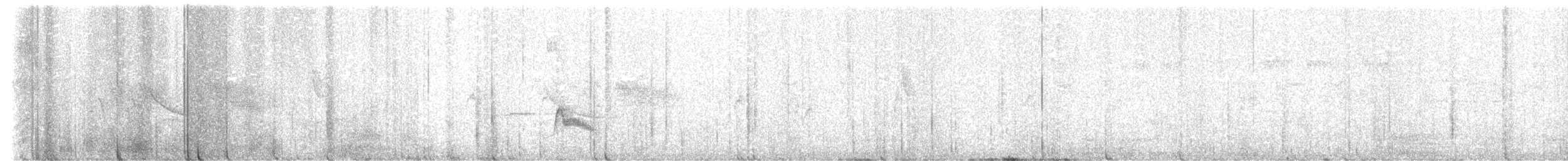 Weißkronen-Olivtyrann (Weißbauch-Olivtyrann) - ML492062591